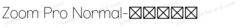 Zoom Pro Normal字体转换